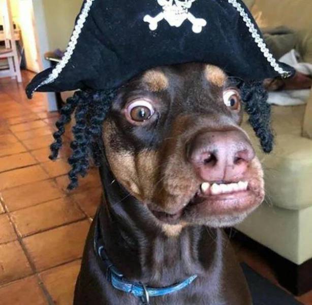 daily picdump 43 pics 18.html - 43 HD Photos | Premium Gallery 2026