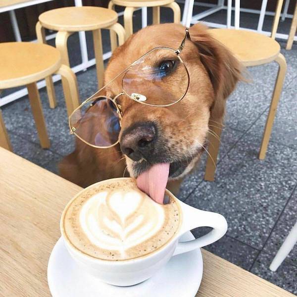 daily picdump 43 pics 18.html - 43 HD Photos | Premium Gallery 2026