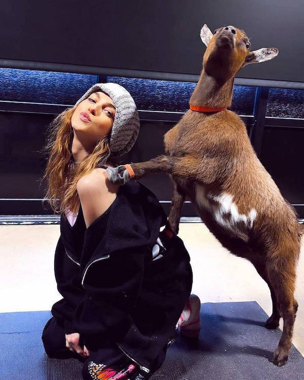 daily picdump 43 pics 18.html - 43 HD Photos | Premium Gallery 2026