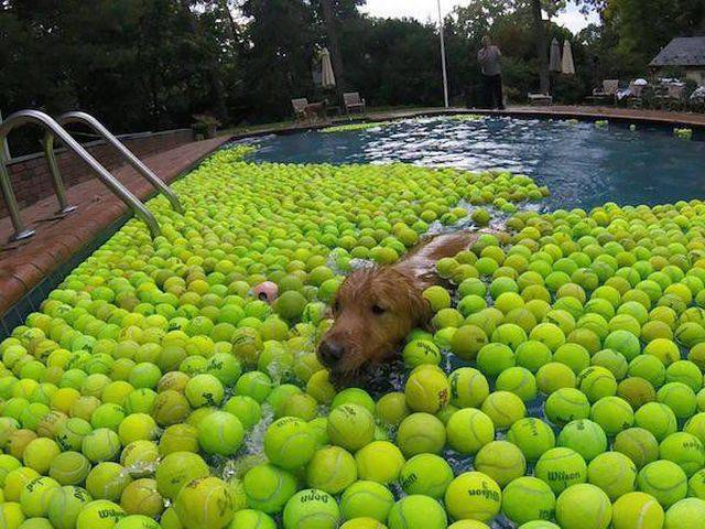 Daily Picdump [WEEKEND EDITION]