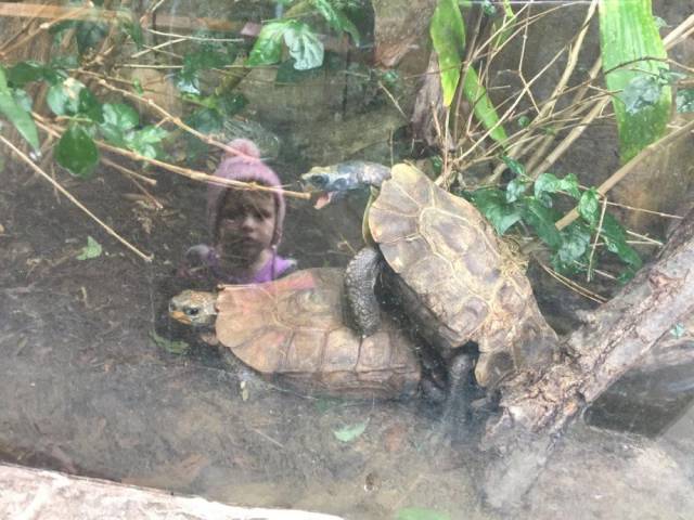 Daily Picdump [WEEKEND EDITION]