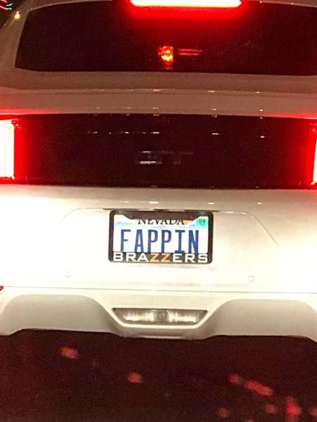 Daily Picdump [WEEKEND EDITION]