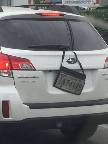 daily picdump weekend edition 74 pics 29.html - 74 HD Photos | Premium Gallery 2017