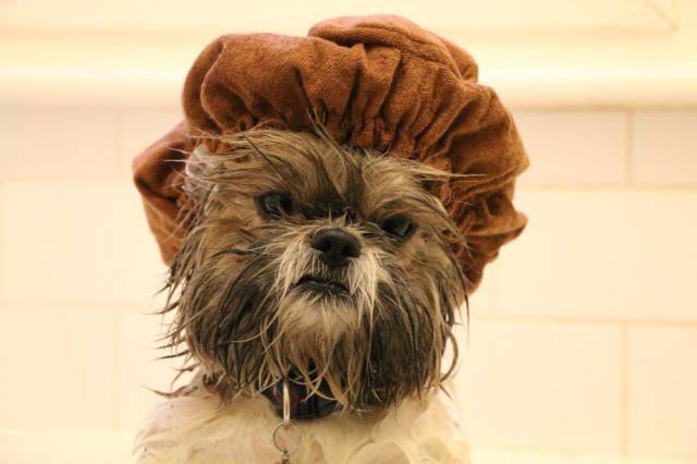 daily picdump weekend edition 74 pics 29.html - 74 HD Photos | Premium Gallery 2017