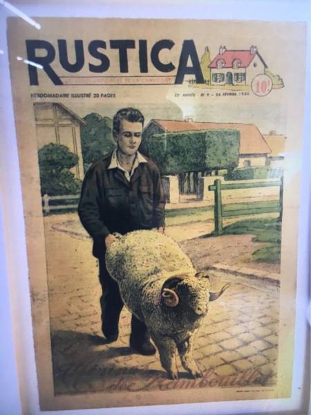 daily picdump weekend edition 74 pics 29.html - 74 HD Photos | Premium Gallery 2017