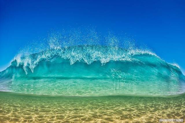 daily picdump weekend edition 74 pics 29.html - 74 HD Photos | Premium Gallery 2017