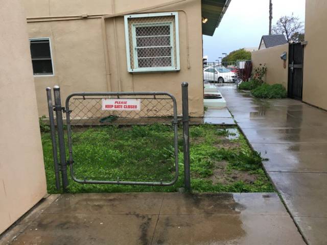 daily picdump weekend edition 74 pics 29.html - 74 HD Photos | Premium Gallery 2017