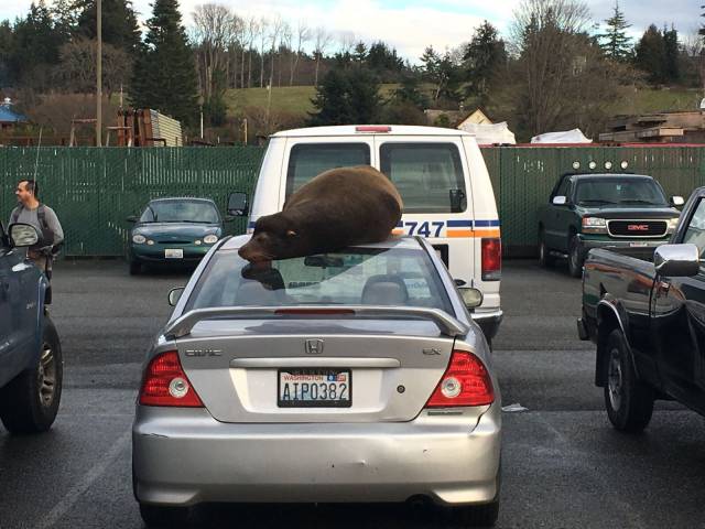 daily picdump 94 pics 2.html - 94 HD Photos | Premium Gallery 2017