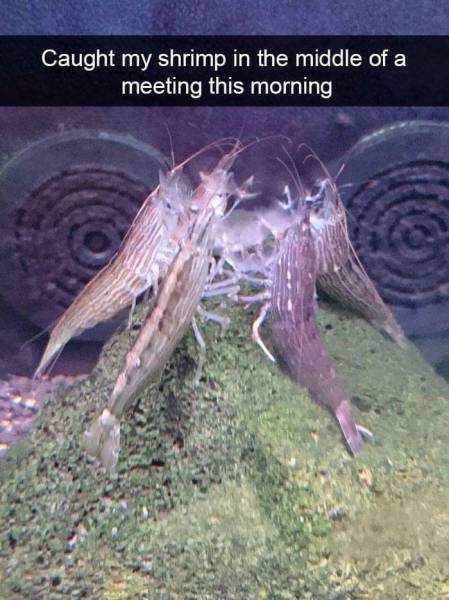 daily picdump 94 pics 2.html - 94 HD Photos | Premium Gallery 2017