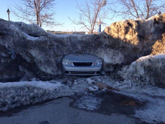 daily picdump 94 pics 2.html - 94 HD Photos | Premium Gallery 2017