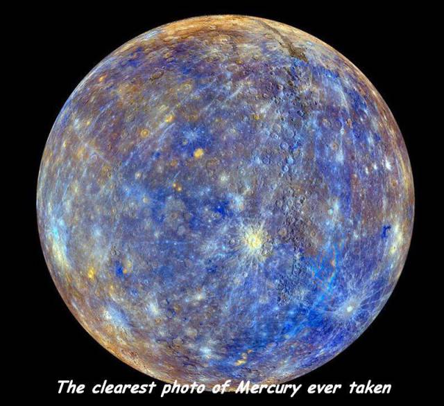 daily picdump 94 pics 2.html - 94 HD Photos | Premium Gallery 2017