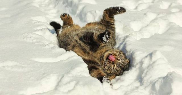 daily picdump 94 pics 2.html - 94 HD Photos | Premium Gallery 2017