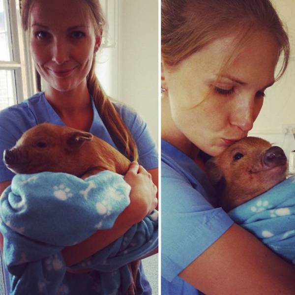 daily picdump 94 pics 2.html - 94 HD Photos | Premium Gallery 2017