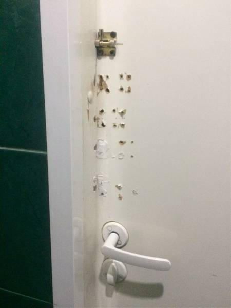 daily picdump 97 pics 46.html - 97 HD Photos | Premium Gallery 2017