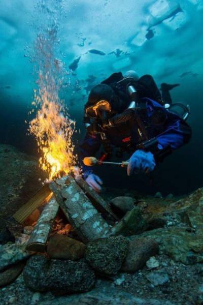 daily picdump 97 pics 46.html - 97 HD Photos | Premium Gallery 2017