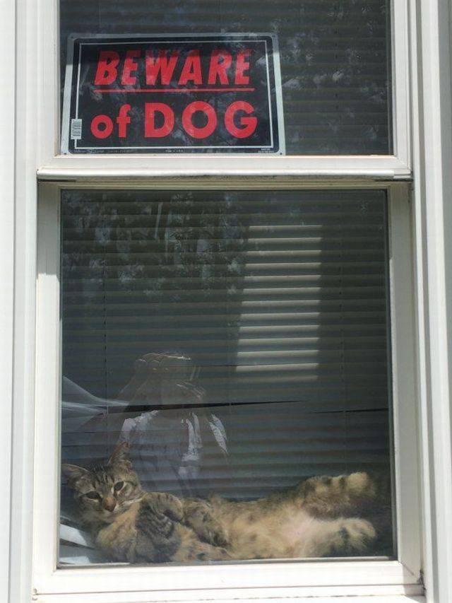 daily picdump 97 pics 46.html - 97 HD Photos | Premium Gallery 2017