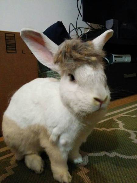 morning picdump 53 pics 17.html - 53 HD Photos | Premium Gallery 2017