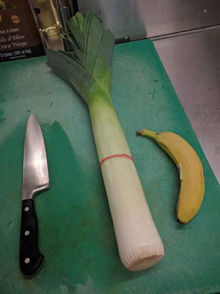 morning picdump 53 pics 17.html - 53 HD Photos | Premium Gallery 2017