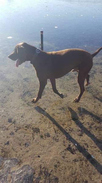 daily picdump 102 pics 8.html - 102 HD Photos | Premium Gallery 2017