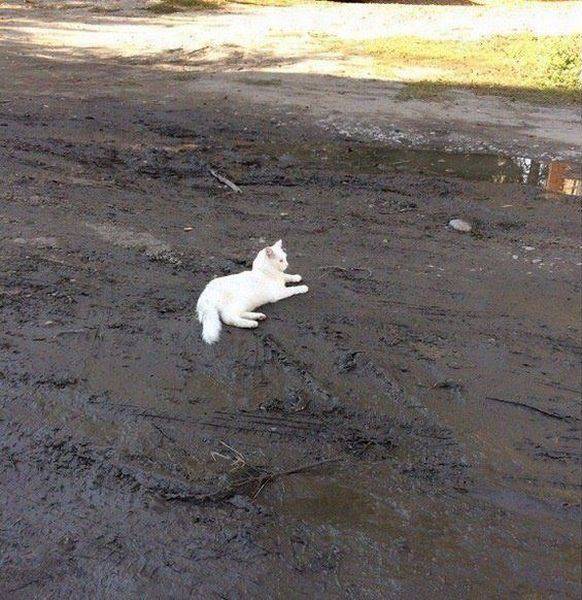 daily picdump 102 pics 8.html - 102 HD Photos | Premium Gallery 2017