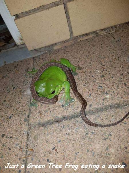 daily picdump 102 pics 8.html - 102 HD Photos | Premium Gallery 2017