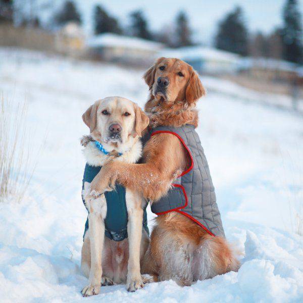 daily picdump 102 pics 8.html - 102 HD Photos | Premium Gallery 2017