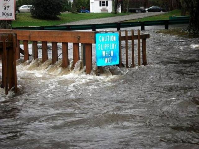 daily picdump 102 pics 8.html - 102 HD Photos | Premium Gallery 2017