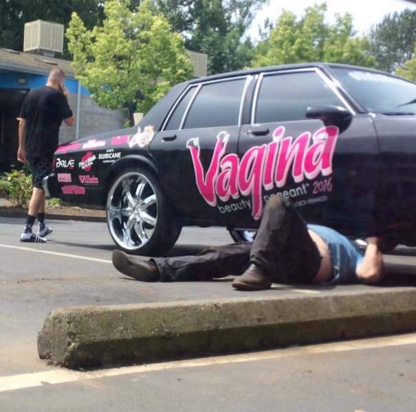 daily picdump 102 pics 8.html - 102 HD Photos | Premium Gallery 2017