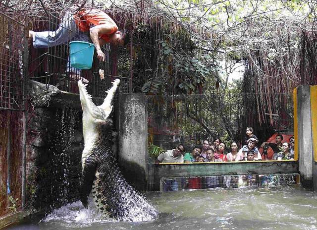 daily picdump 102 pics 8.html - 102 HD Photos | Premium Gallery 2017