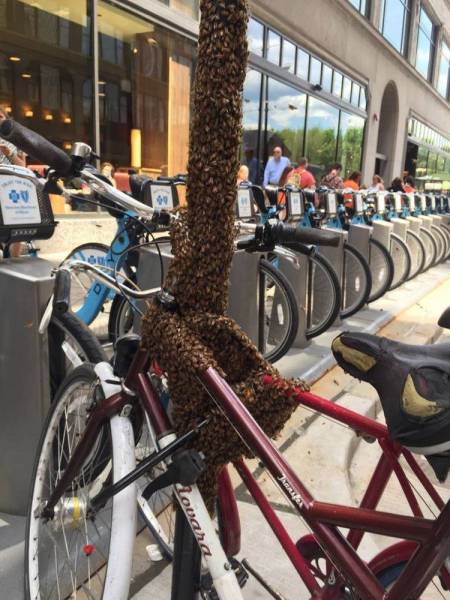 daily picdump 102 pics 8.html - 102 HD Photos | Premium Gallery 2017