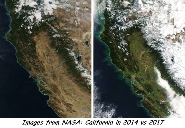 daily picdump 102 pics 8.html - 102 HD Photos | Premium Gallery 2017