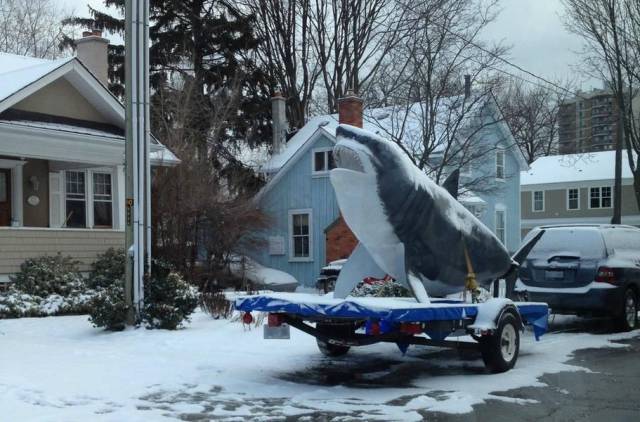 daily picdump 102 pics 8.html - 102 HD Photos | Premium Gallery 2017