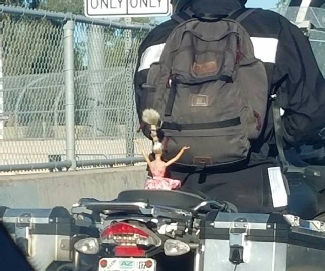 morning picdump 51 pics 2.html - 51 HD Photos | Premium Gallery 2017