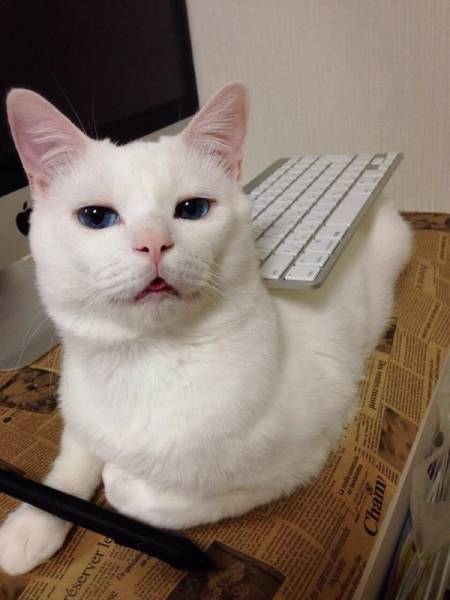 morning picdump 51 pics 2.html - 51 HD Photos | Premium Gallery 2017