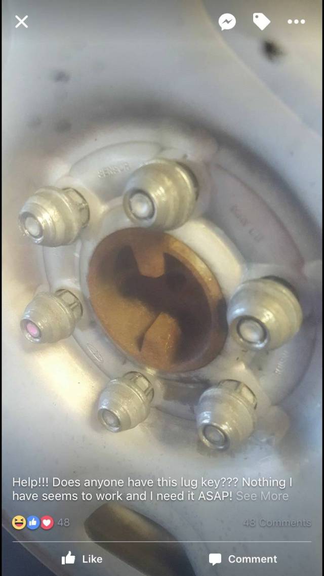 morning picdump 51 pics 2.html - 51 HD Photos | Premium Gallery 2017