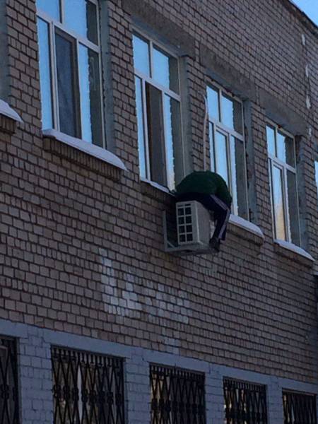 daily picdump 102 pics 37.html - 102 HD Photos | Premium Gallery 2017