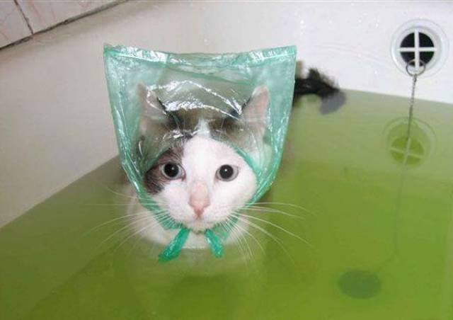 daily picdump 102 pics 37.html - 102 HD Photos | Premium Gallery 2017