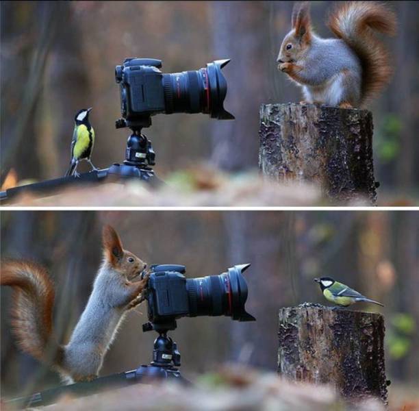 daily picdump 102 pics 37.html - 102 HD Photos | Premium Gallery 2017