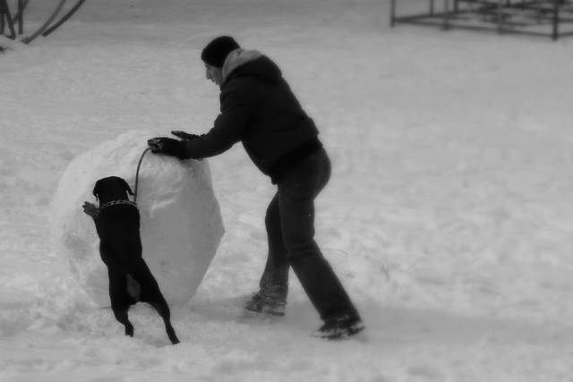 daily picdump 102 pics 37.html - 102 HD Photos | Premium Gallery 2017