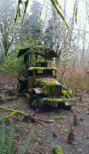 daily picdump 102 pics 37.html - 102 HD Photos | Premium Gallery 2017