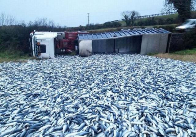 daily picdump 102 pics 37.html - 102 HD Photos | Premium Gallery 2017