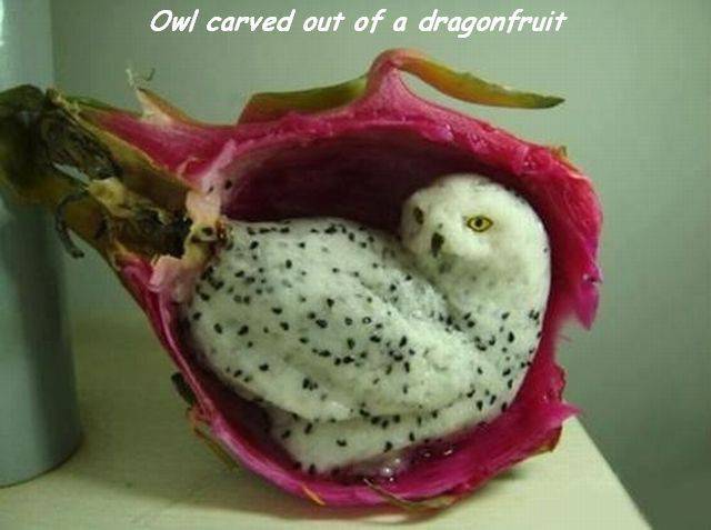 daily picdump 102 pics 37.html - 102 HD Photos | Premium Gallery 2017