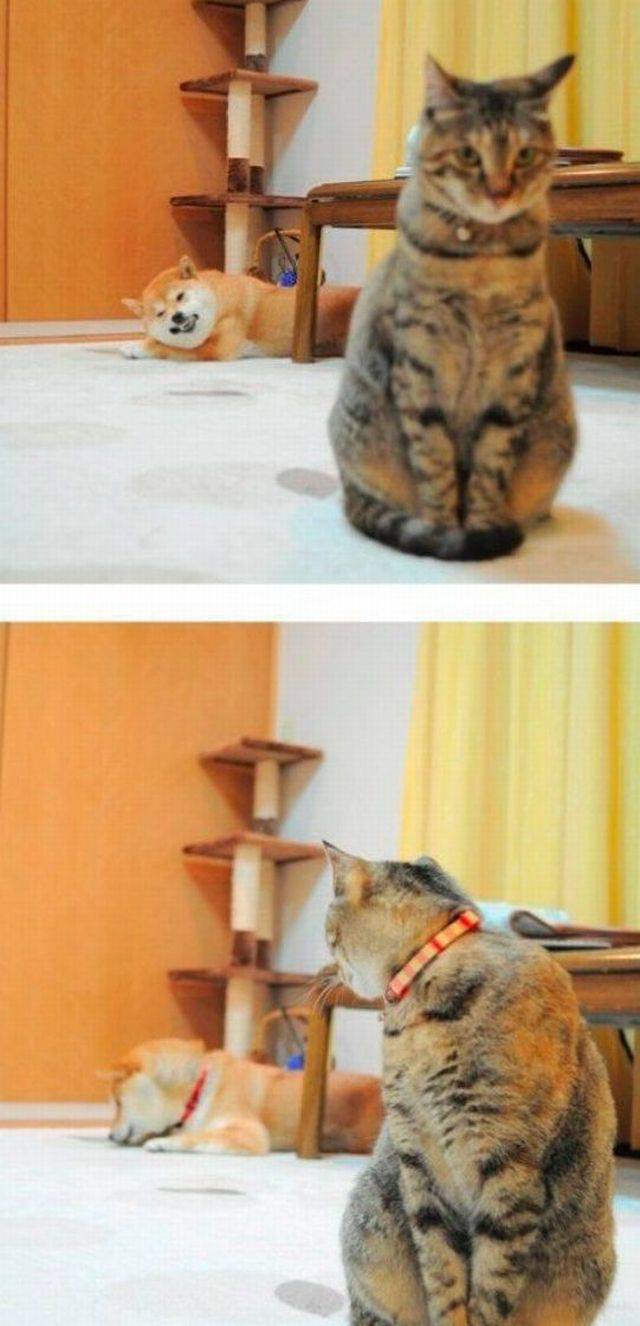 daily picdump 102 pics 37.html - 102 HD Photos | Premium Gallery 2017