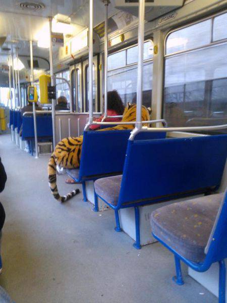 morning picdump 51 pics 12.html - 51 HD Photos | Premium Gallery 2017