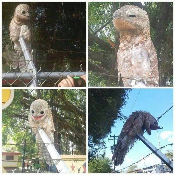 morning picdump 51 pics 12.html - 51 HD Photos | Premium Gallery 2017