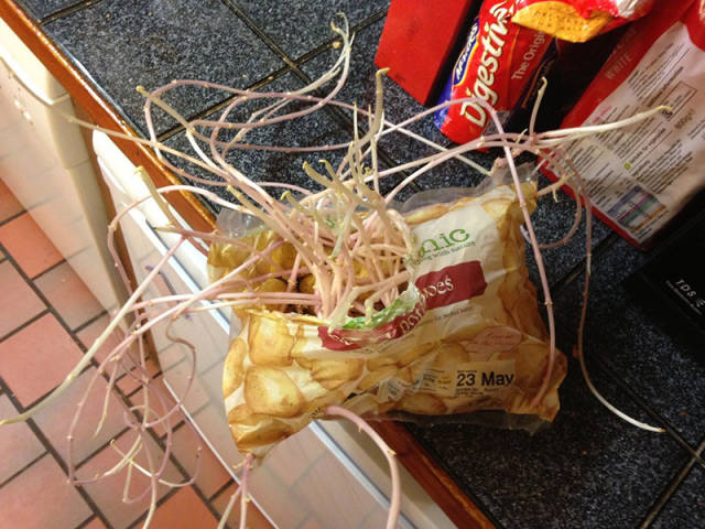 morning picdump 51 pics 12.html - 51 HD Photos | Premium Gallery 2017