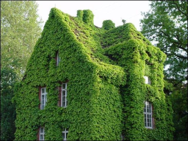 daily picdump 100 pics 24.html - 100 HD Photos | Premium Gallery 2017