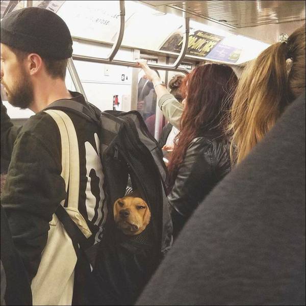 daily picdump 100 pics 24.html - 100 HD Photos | Premium Gallery 2017