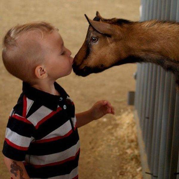 daily picdump 100 pics 24.html - 100 HD Photos | Premium Gallery 2017