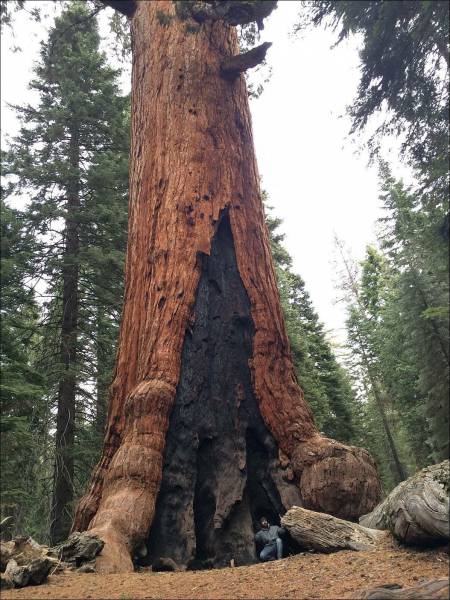 daily picdump 100 pics 24.html - 100 HD Photos | Premium Gallery 2017